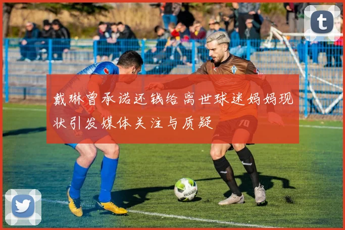 戴琳曾承诺还钱给离世球迷妈妈现状引发媒体关注与质疑
