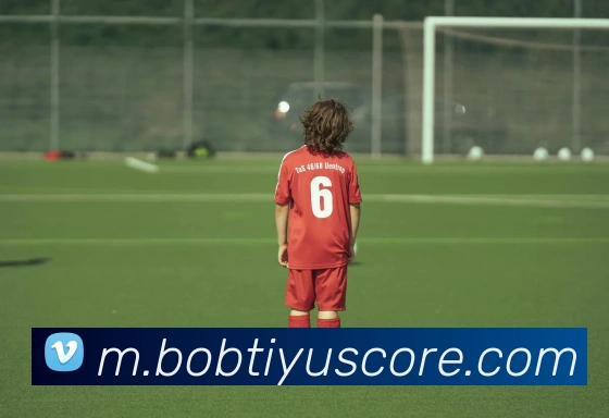 BOB体育平台生态图