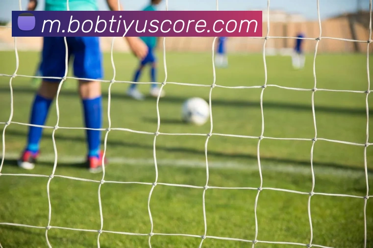 BOB体育APP 封面图