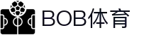 BOB体育-BOB（官网）官方网站-BOBSPORTS